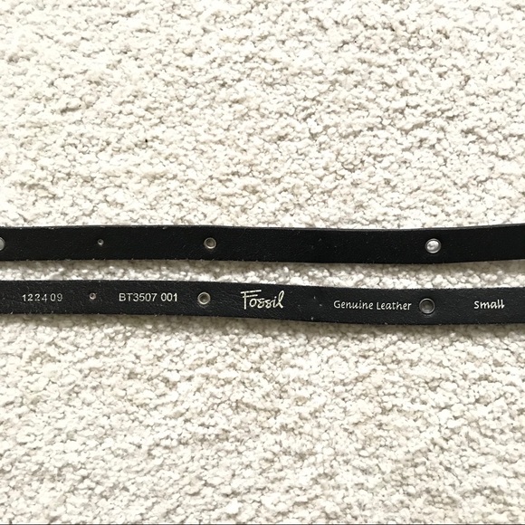 Fossil Belt- - Picture 6 of 11